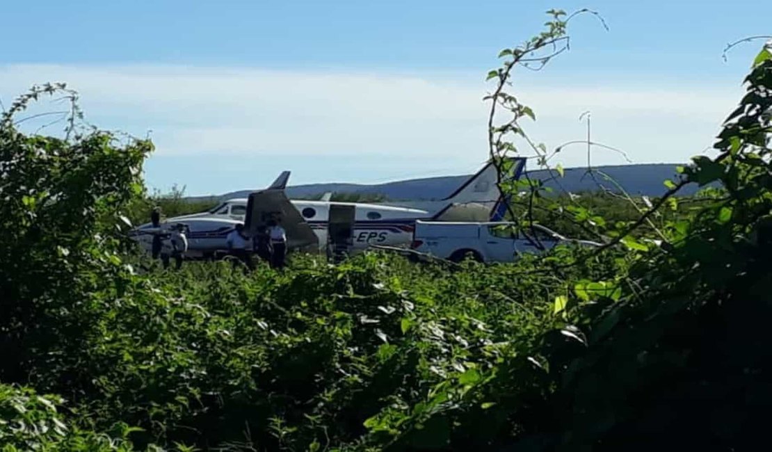 Avião com vacinas contra a Covid-19 se choca com um jumento na Bahia