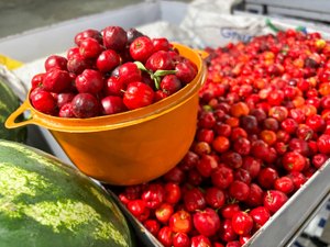 Maragogi recebe etapa Região Norte do Circuito Regional de Feiras da Agricultura Familiar
