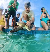 Pesquisadores iniciam esta semana estudos de tartarugas na Costa dos Corais
