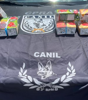 Mulher é presa com dez quilos de cocaína em bagagem no município de São Sebastião