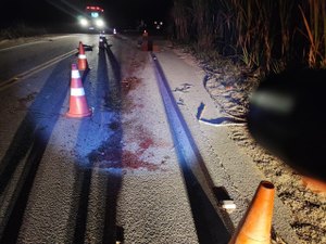 Corpo fica desfigurado após atropelamento em Porto Calvo