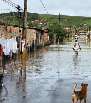 Rios transbordam e atingem cidades de Porto Calvo e São Luís do Quitunde