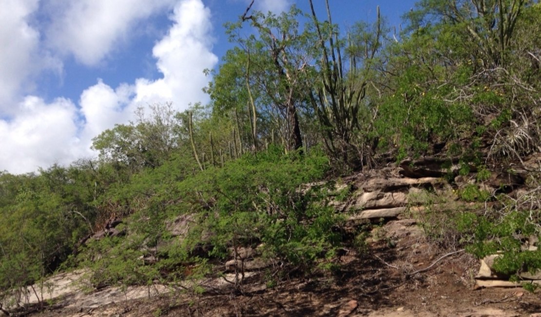 Reportagem mostra achado de sítios arqueológicos no Sertão de Alagoas
