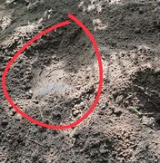 Família encontra corpo de jovem desaparecido em cova rasa em Fernão Velho