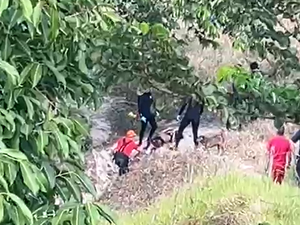 Homem é encontrado morto em rio às margens da BR-424, em Branquinha