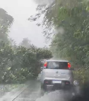 Diversos trechos de rodovias são interditados em Alagoas após chuvas