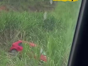 Carro sobra em curva da AL-105 e para em canavial de Porto Calvo