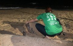 Tartaruga Biota desova na Praia de Jatiúca