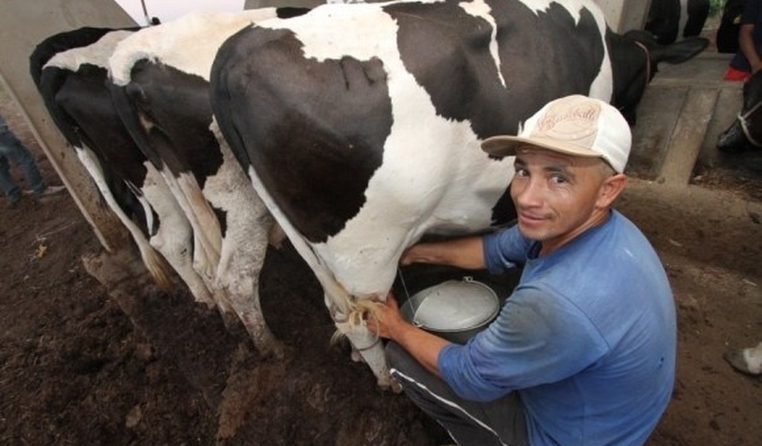 Recursos beneficiam mais de 4 mil pequenos produtores de leite