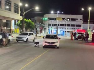 Polícia e SSP apuram caso de policiais assasinados por colega dentro de viatura em AL