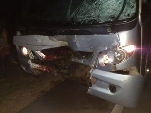 Ônibus escolar se choca com cavalo em rodovia de Piaçabuçu