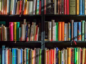 Dia do Leitor: falta de acessibilidade é desafio para formar leitores