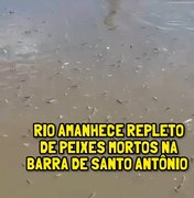 Centenas de peixes são encontrados mortos na Barra de Santo Antônio