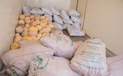 O PAA em Girau do Ponciano deve beneficiar cerca de 700 famílias com a distribuição de alimentos nos próximos meses