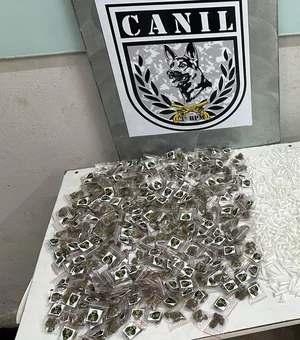 Cão farejador encontra drogas durante treinamento da PM em Arapiraca