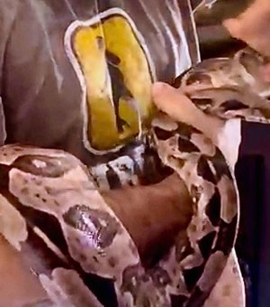 Animais silvestres mantidos ilegalmente são resgatados de residência na Mangabeiras