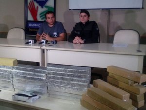 Polícias tiram de circulação mais de 150kg de maconha