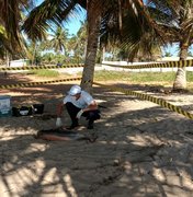 [Vídeo] Boto cinza é encontrado morto no litoral alagoano