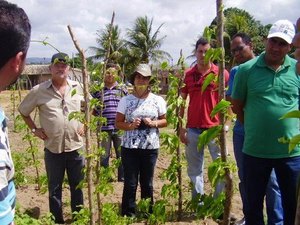 Palestra ensina técnicas de cultivo de inhame para horticultores