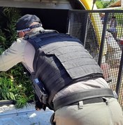 Homem é preso por cultivar plantio de maconha no Sertão de Alagoas