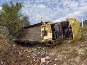 Caminhão tomba e deixa motorista em estado grave em Maribondo