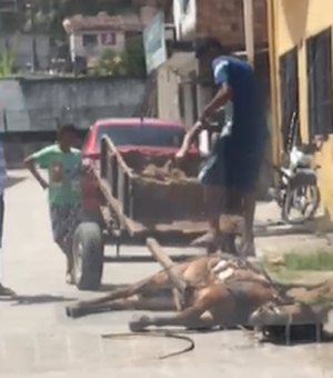 [Vídeo] Maus tratos a cavalo é flagrado no Bom Parto