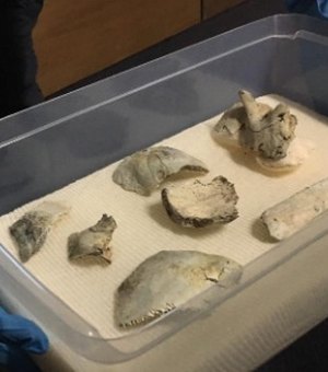 Museu Nacional resgata crânio de Luzia quebrado e identifica 80% das partes