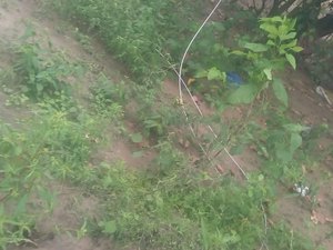 Moradores da zona rural de Maragogi estão sem energia elétrica