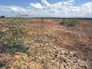Cooperação técnica combaterá desertificação no semiárido