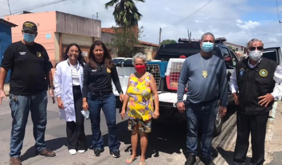 Polícia Civil resgata três cachorros vítimas de maus-tratos em Maceió