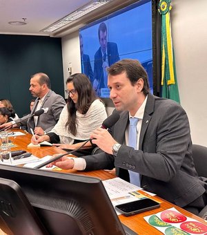 Deputados discutem qualidade da alimentação escolar durante audiência na Câmara