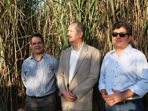 Cana produzida em AL põe o Brasil na vanguarda dos biocombustíveis