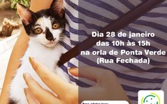 Neafa promove feira de adoção de cães e gatos no próximo domingo (28)