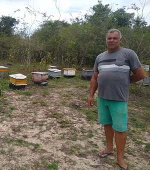 [Vídeo] Apesar das dificuldades, apicultor mantém produção de mel orgânico em Arapiraca