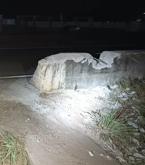 Homens são presos após destruírem mureta de proteção da BR-101, em Porto Real do Colégio