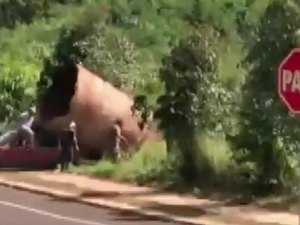 Cinco homens são detidos tentando furtar duto gigante, em Cascavel