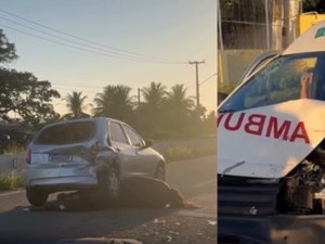Cavalo solto na pista causa colisão em sequência e deixa três feridos na AL-220