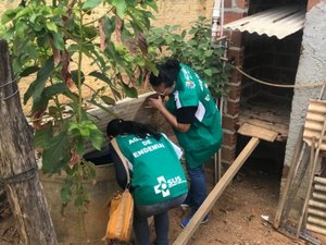 Secretaria de Saúde de Palmeira realiza mutirão contra a dengue no bairro Palmeira de Fora nesta segunda (9)