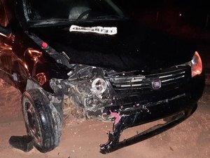 Motorista tenta desviar de animal na pista e provoca colisão na AL-430