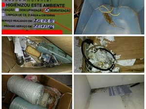 Sindicato denuncia criatório de ratos em setor de encomendas dos correios de Maceió