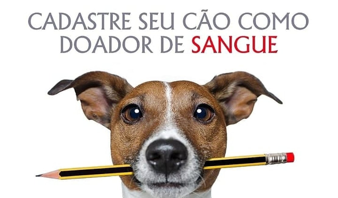 Clínica veterinária faz cadastro de animais para doação de sangue 