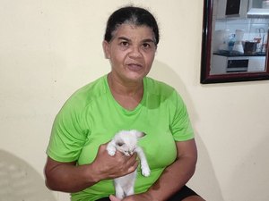 Maragogi: moradores de São Bento convivem com envenenamento de gatos