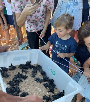 Filhotes de tartarugas marinhas são soltos na praia de Guaxuma e encantam crianças