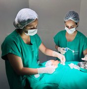 Hospital Regional de Palmeira dos Índios implanta especialidade em odontologia