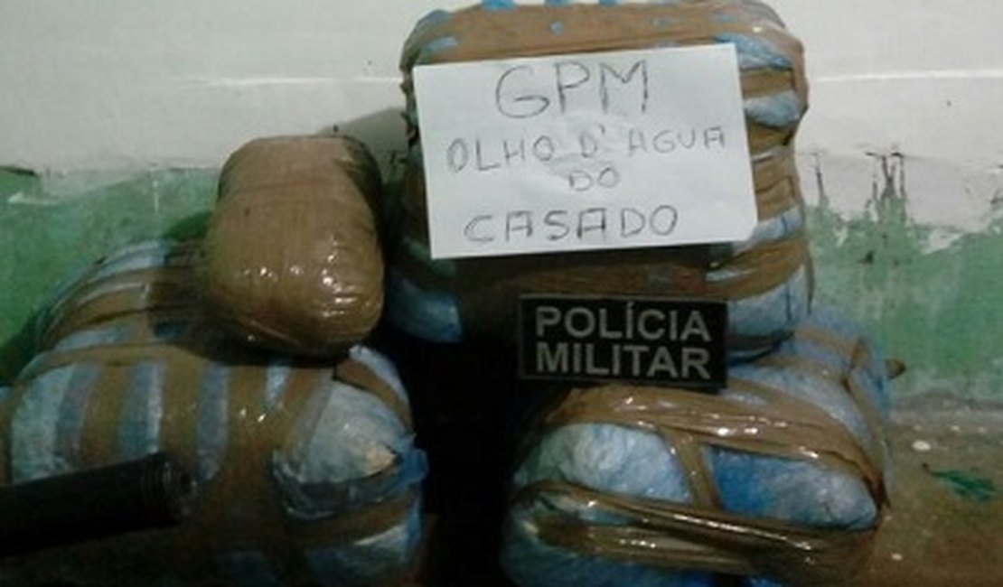 Polícia prende traficante com mais de trinta quilos de maconha que seguia para Arapiraca