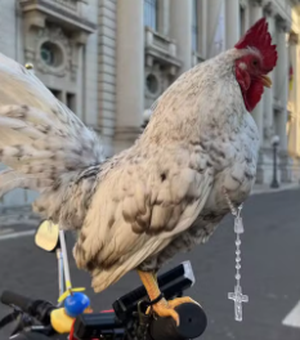 Galo garnisé participa de procissão de Corpus Christi com terço no pescoço em cima de bicicleta