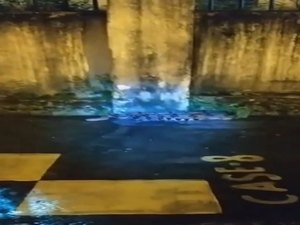 Cobra de cerca de dois metros aparece em calçada no Flexal de Cima, em Maceió