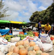 Feira Camponesa começa nesta quarta-feira (5) em Maceió