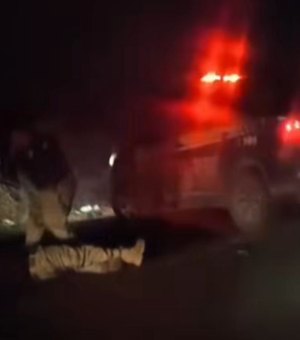 Agente da PRF atingido por carro morre ao tentar impedir cavalo de invadir BR-110