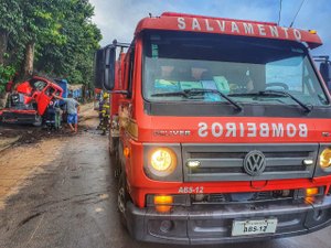 Caminhão colide em árvore e deixa uma pessoa ferida em Rio Largo